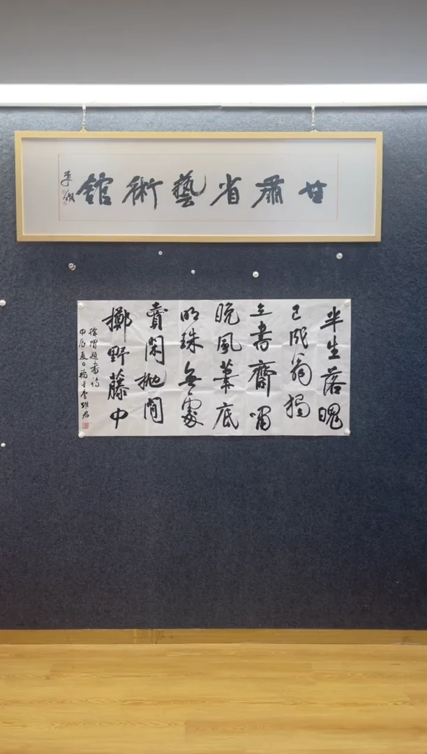 书法2995李维君半生落魄四尺整张