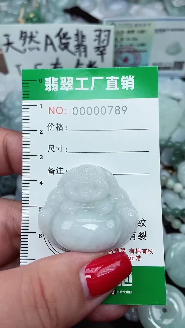 颈饰未镶嵌翡翠缅甸天然翡翠拍一发一0789