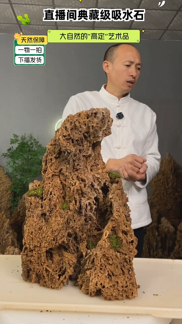 石材好**了天然吸水石上水石盆景555