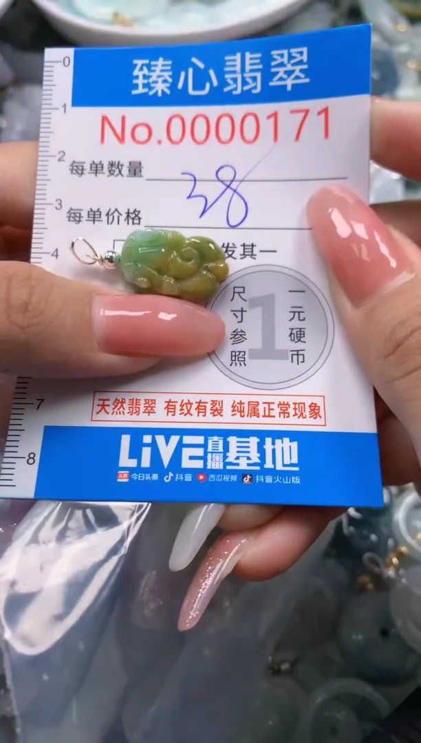 翡翠未镶嵌颈饰171