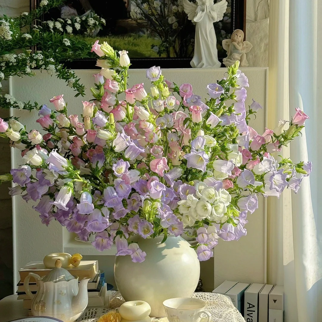 【爆瓶神器风铃花1扎】鲜花次日达批发直播品质鲜花 全场任意满两单鲜花顺丰包邮