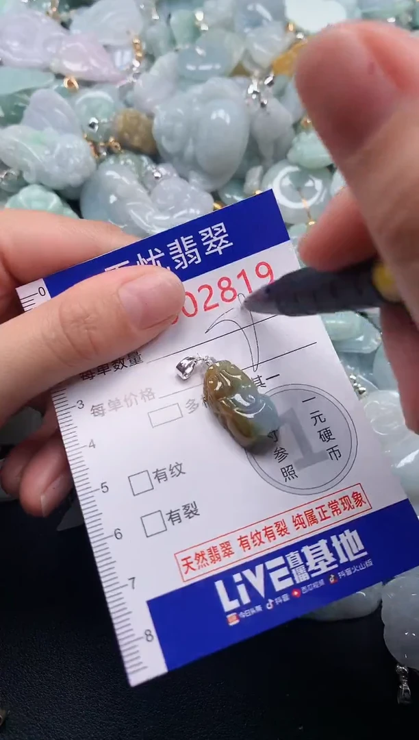 颈饰未镶嵌翡翠2819