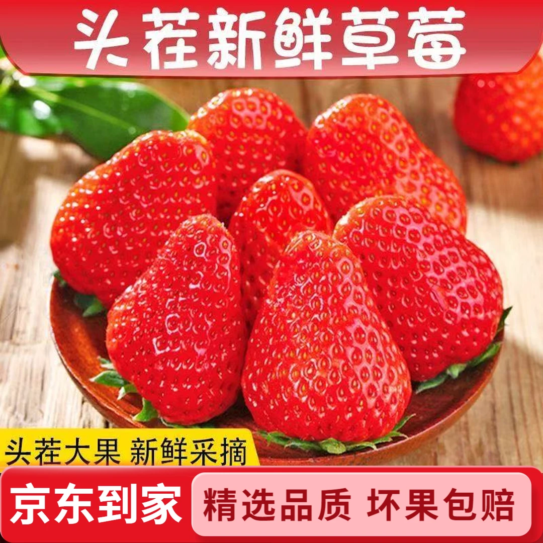 头茬红颜奶油草莓孕妇宝宝新鲜水果香甜可口坏果包赔京东到家
