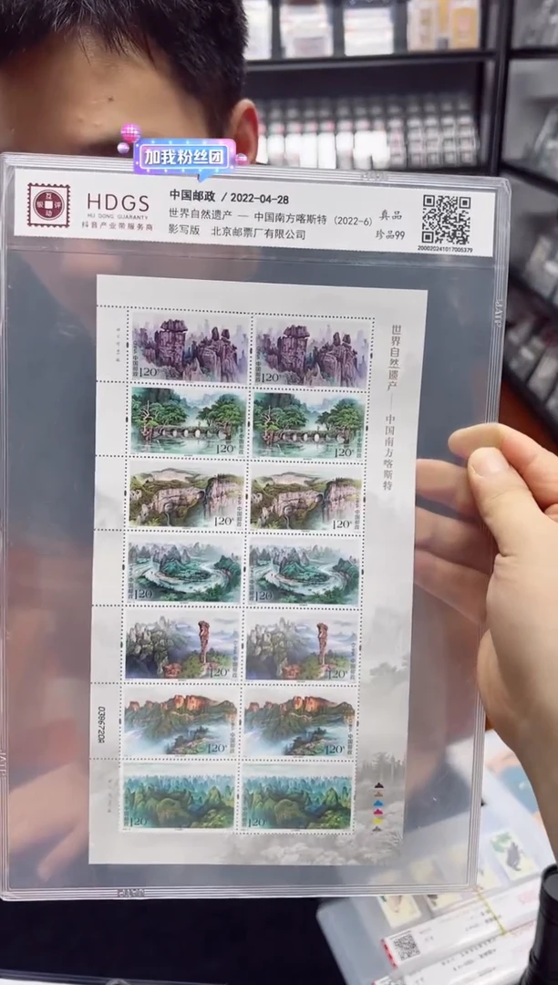 《中国南方喀斯特》影写版