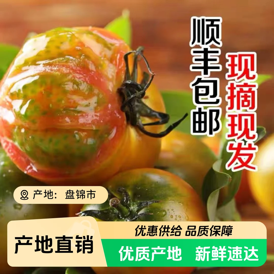 手工精选小果5斤顺丰包邮碱地铁皮草莓柿子番茄西红柿新鲜番茄同城配辽宁省