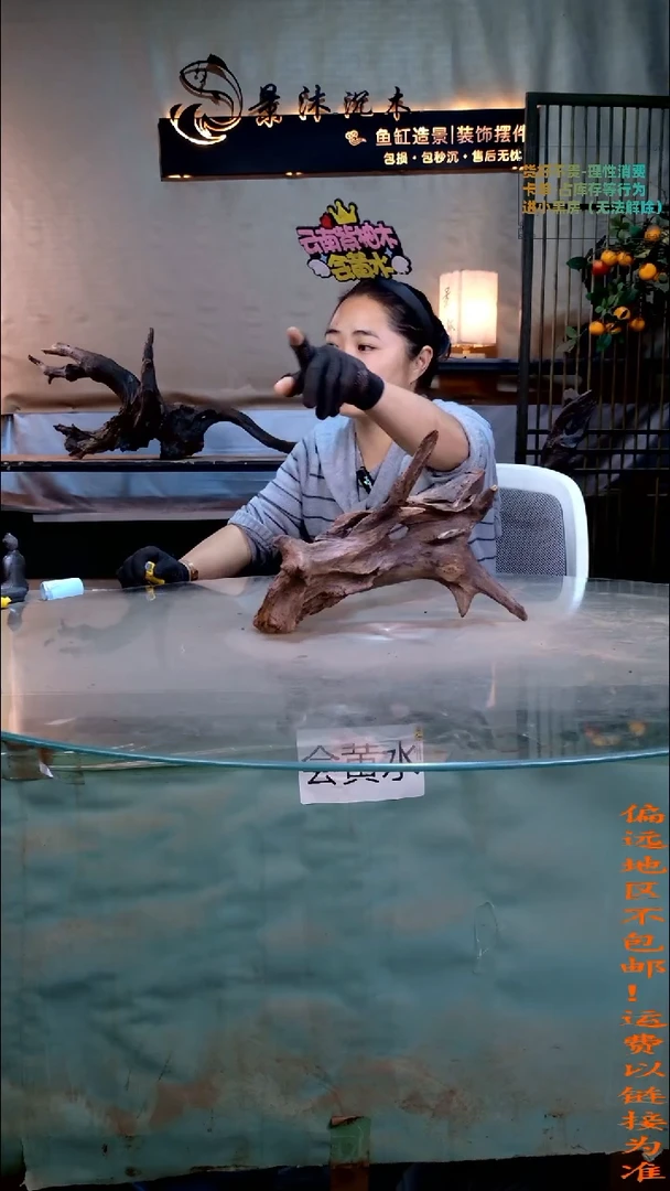 景沐沉木A974  32-12-23