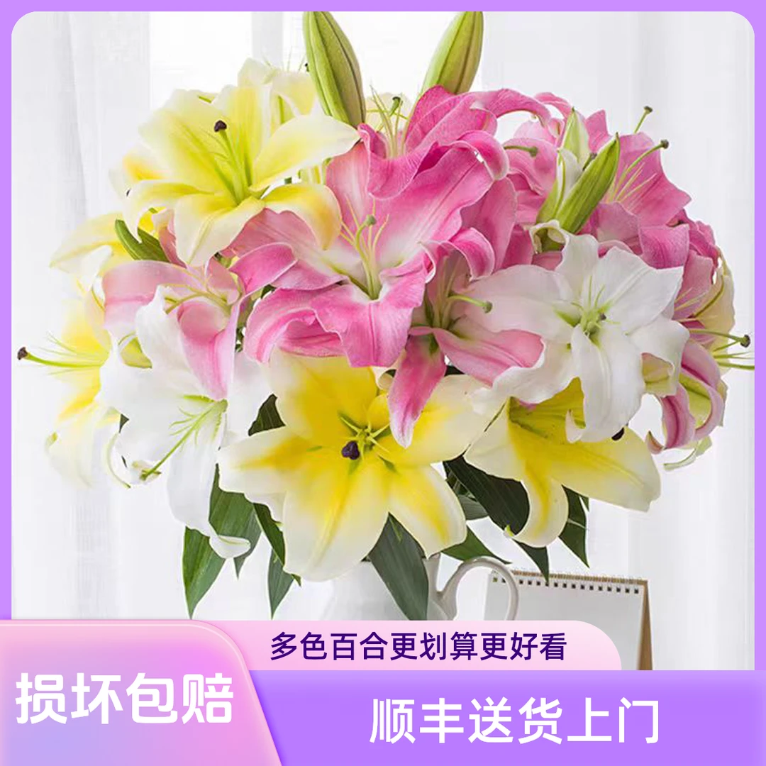 七彩百合多色混搭云南昆明基地直发香水百合花鲜花束水养家用插花