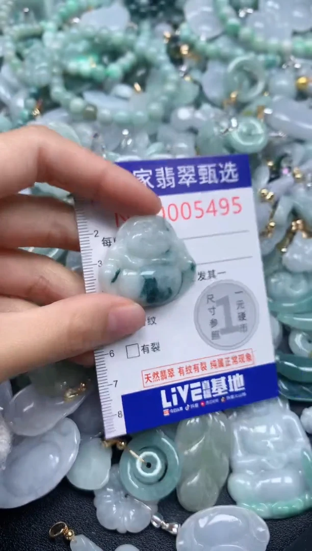吊坠(不含链)未镶嵌翡翠5495
