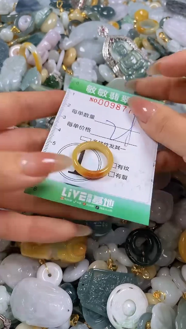 【闪购商品】翡翠颈饰未镶嵌闪购0098771