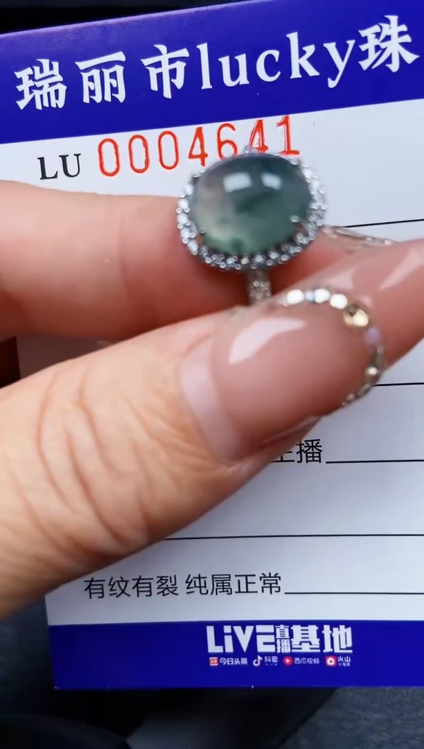 翡翠银S925镶嵌颈饰4641