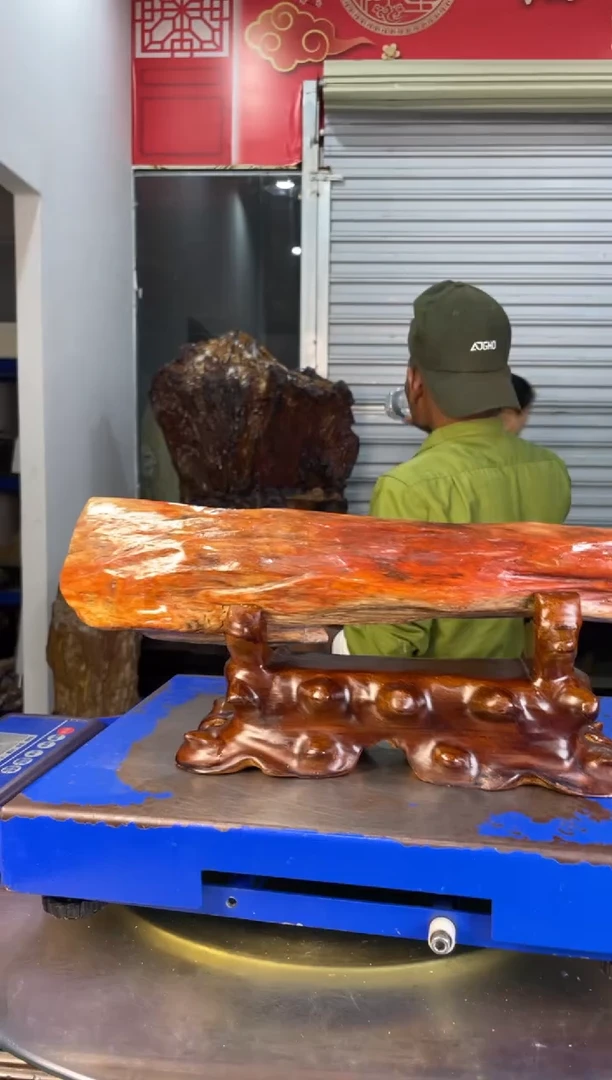 未镶嵌摆件硅化玉༺****༻27