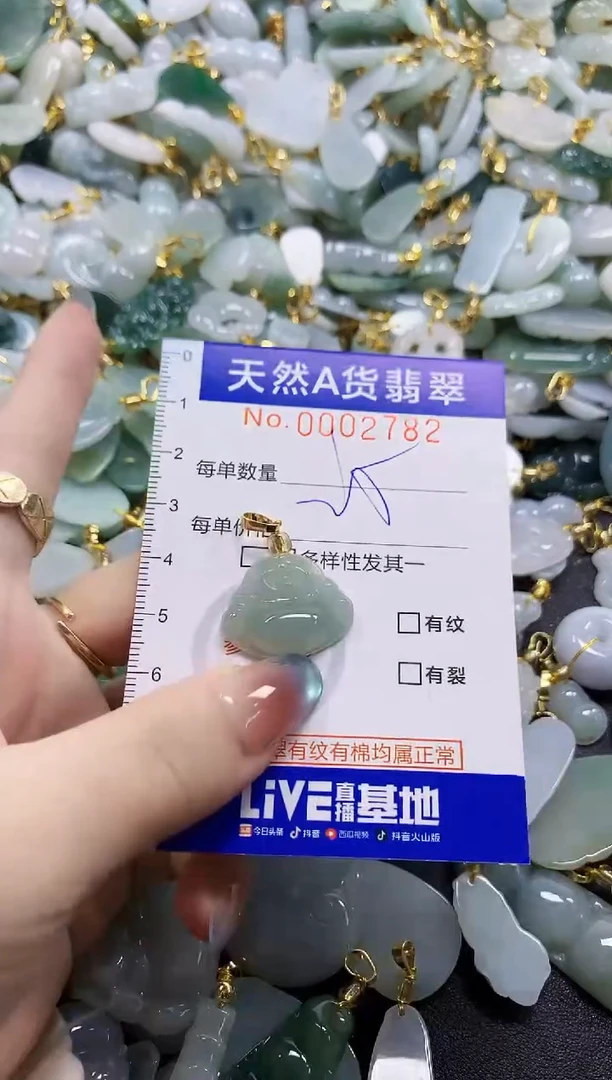 颈饰未镶嵌翡翠纯天然a货翡翠