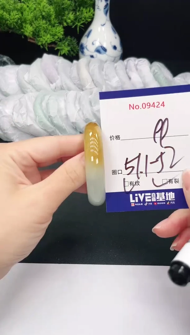 未镶嵌手镯翡翠9424