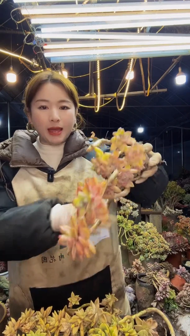 【闪购商品】1号一物一拍默认微瑕不售后