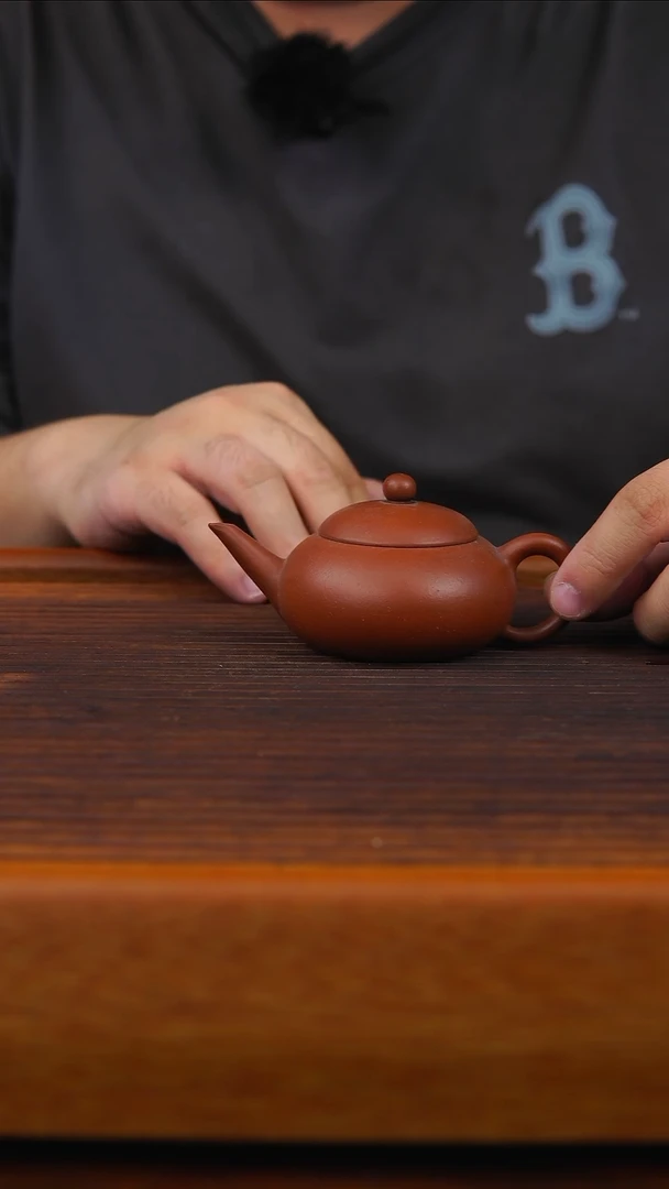 茶壶紫砂始祖鸟长嘴水平壶