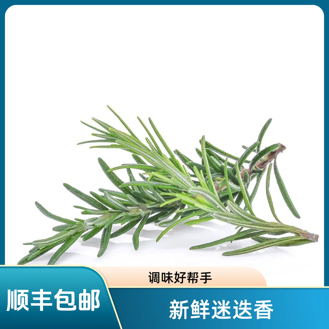 迷迭香新鲜煎牛排用调味料香料250g包邮迷迪香百里香组合食用装饰