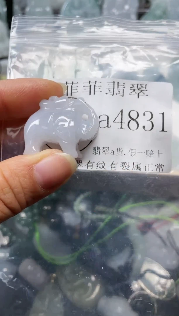 【闪购商品】翡翠颈饰未镶嵌闪购4831