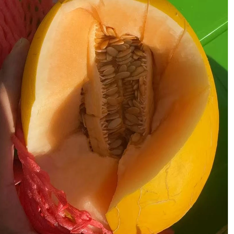 【原箱】[Y]北海哈密瓜 箱/3颗 仅限太原晋中吕梁忻州可拍