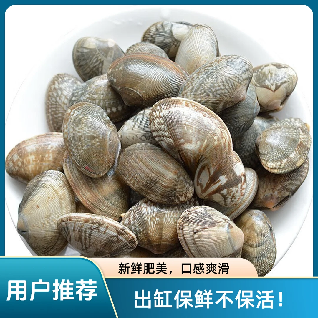 中号无尘花甲（一斤）