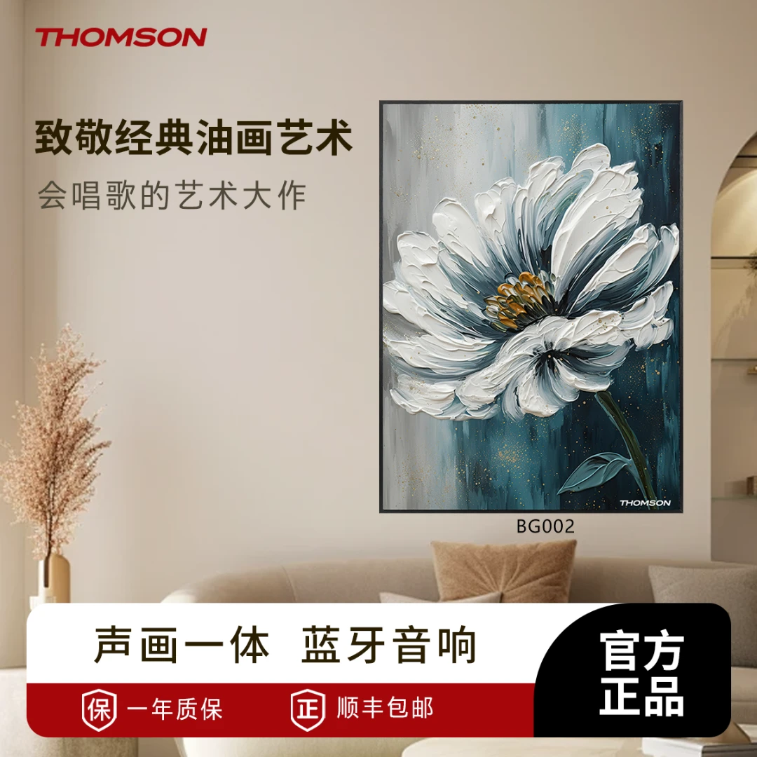 THOMSON壁挂音响创意艺术壁画相框无线蓝牙音箱3D环绕立体声复古