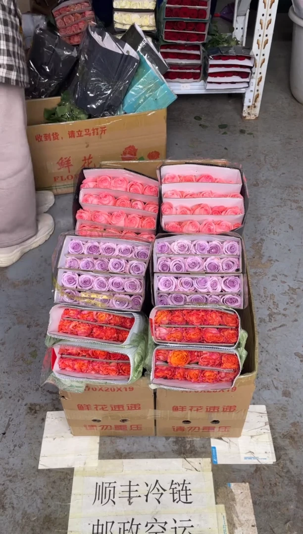 火灵鸟20枝+戴安娜20枝+海洋之歌20枝