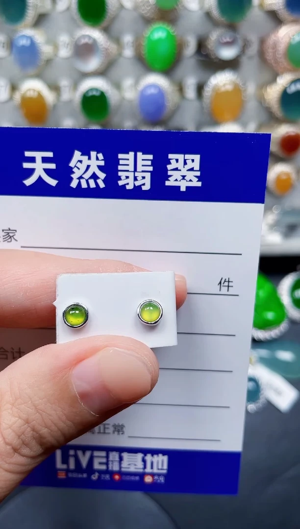 银S925镶嵌翡翠耳饰172