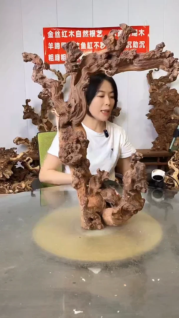 香榧木金丝红木 羊蹄甲