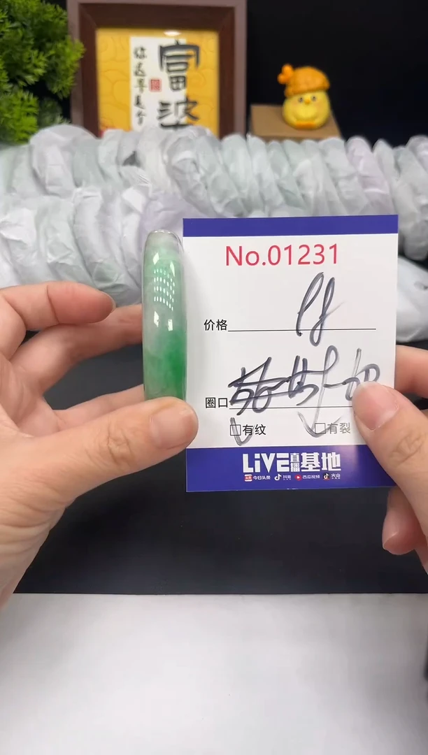 未镶嵌手镯翡翠拍下以实物为准1231