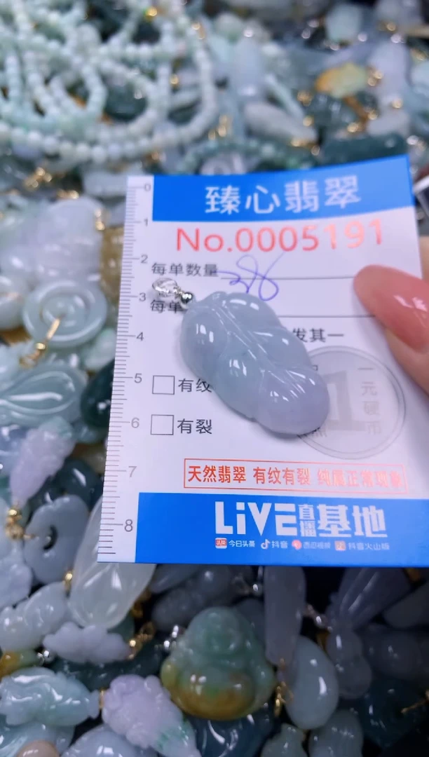 翡翠未镶嵌颈饰5191