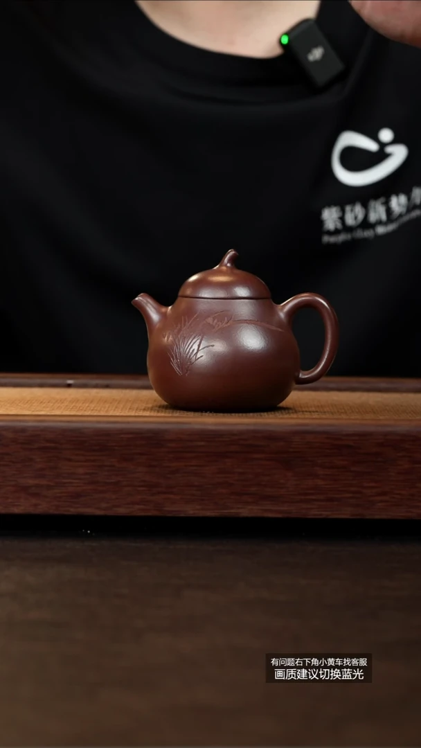 茶壶紫砂原矿紫红泥刻绘茄瓜