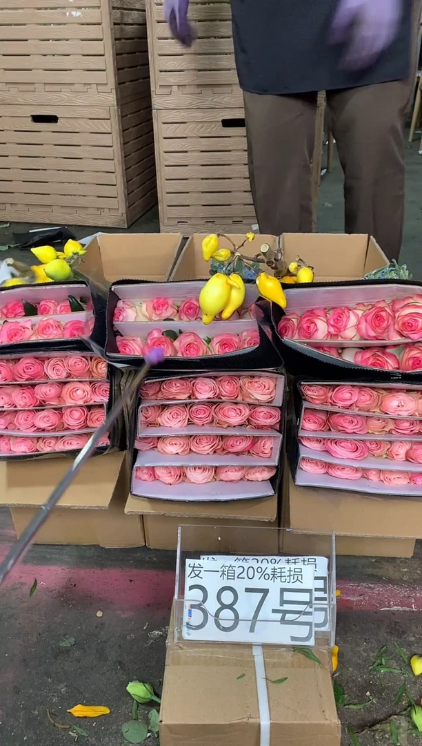 387号♥含20%耗损发一箱