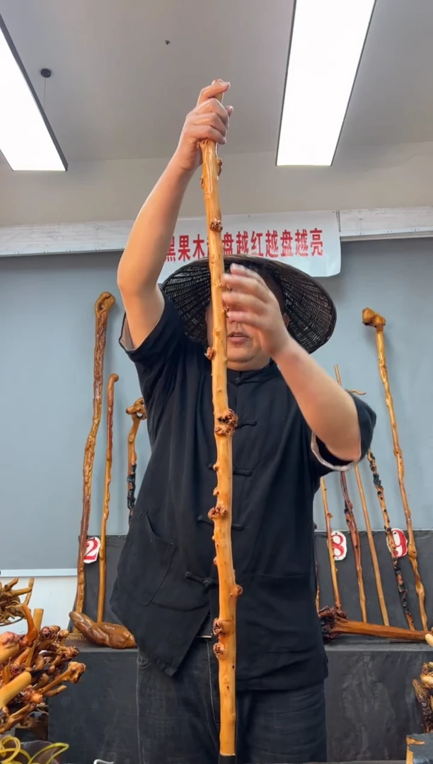 【闪购商品】黑果木其他黑果木697