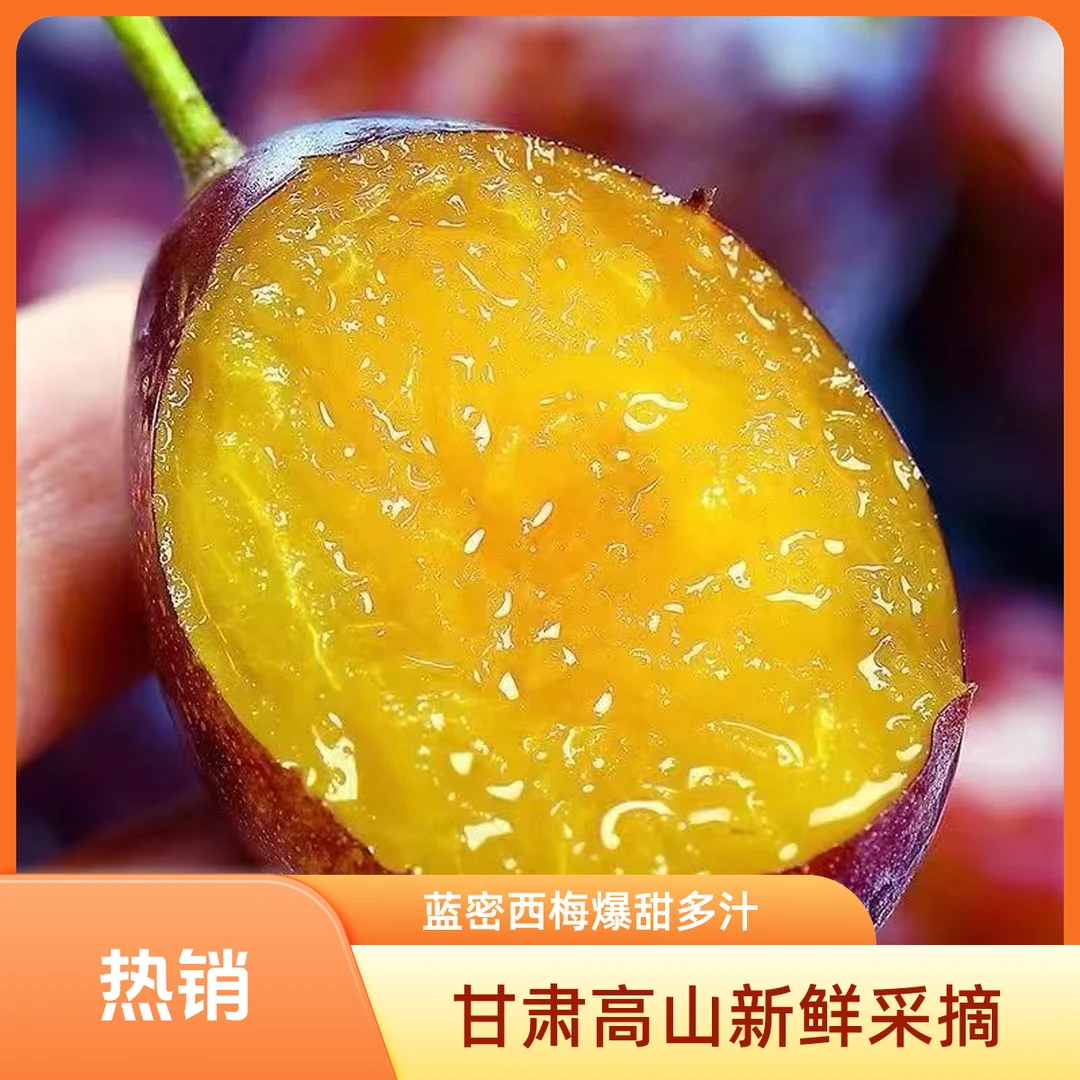 正宗蓝密西梅甘肃高山西梅新鲜采摘爆甜多汁孕妇水果甜西梅整箱