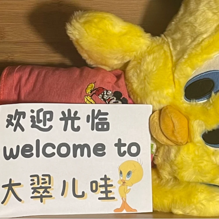 中古毛绒玩偶专拍链接(不退换)