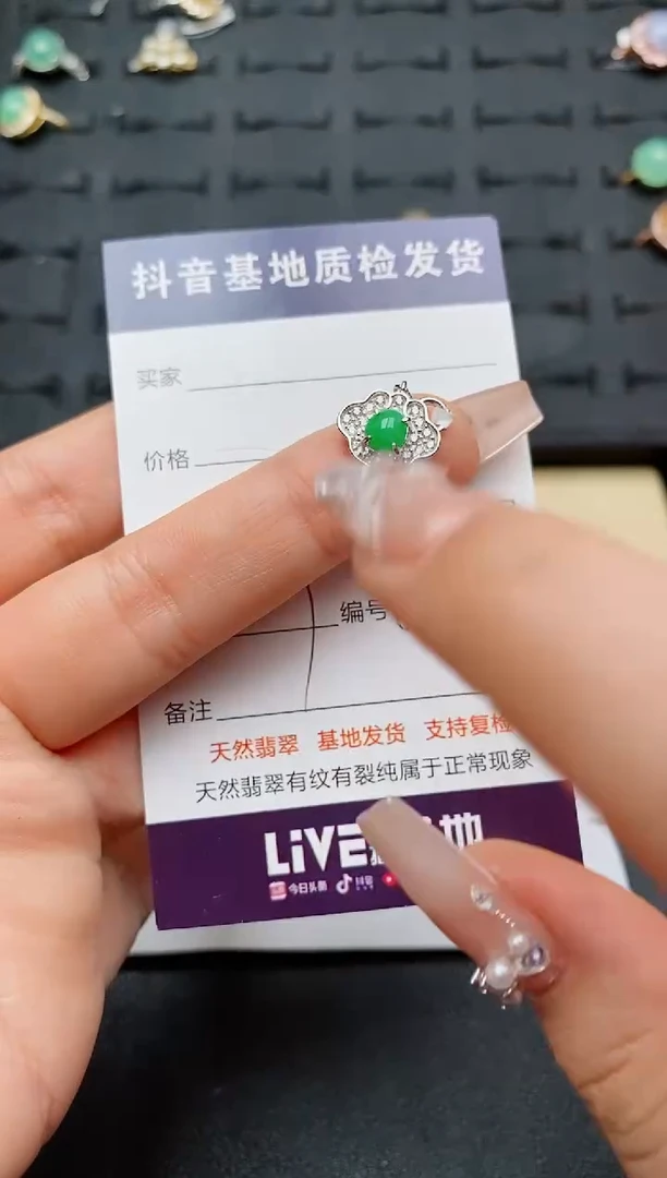 翡翠银S925镶嵌颈饰...........