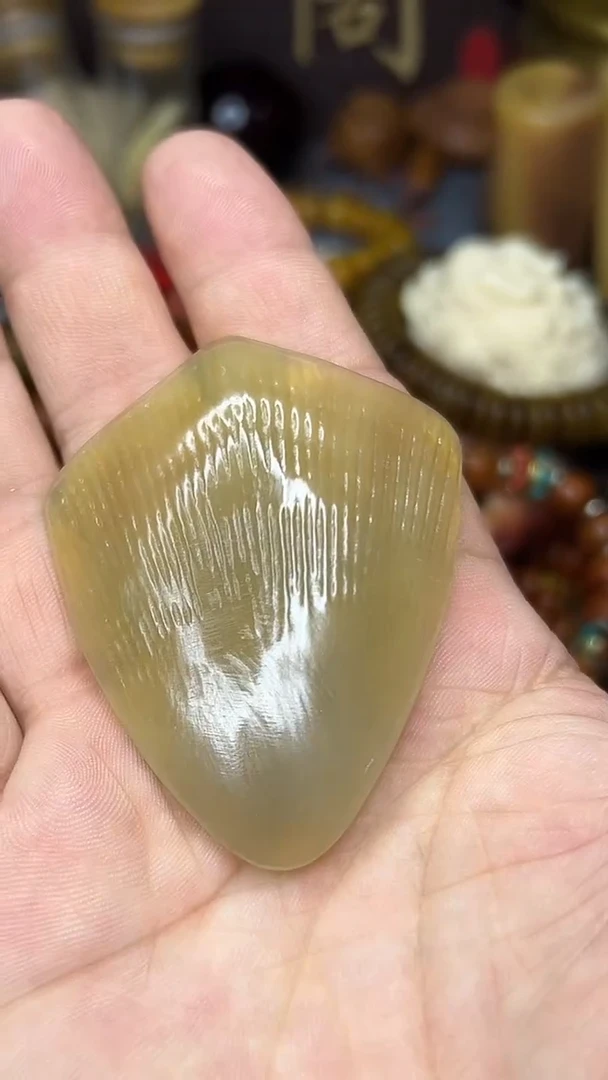 驼骨手串/手链甲片小