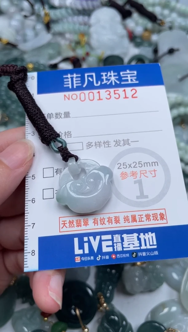 颈饰未镶嵌翡翠13512