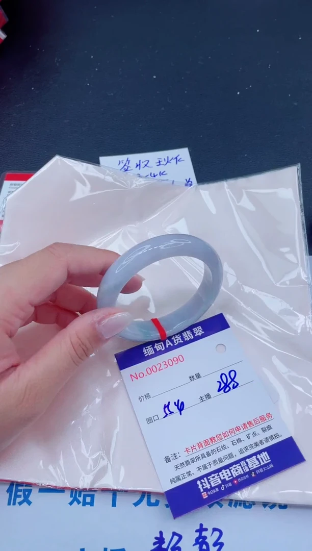 未镶嵌手镯翡翠288