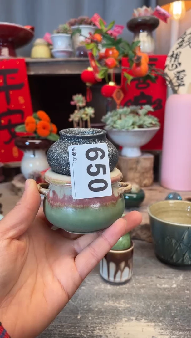 【闪购商品】摆件650知木小芳花盆