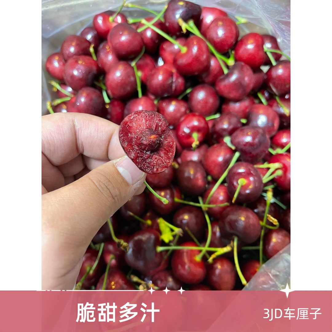 （福利）3JD 脆甜桑提娜车厘子 （5斤装）