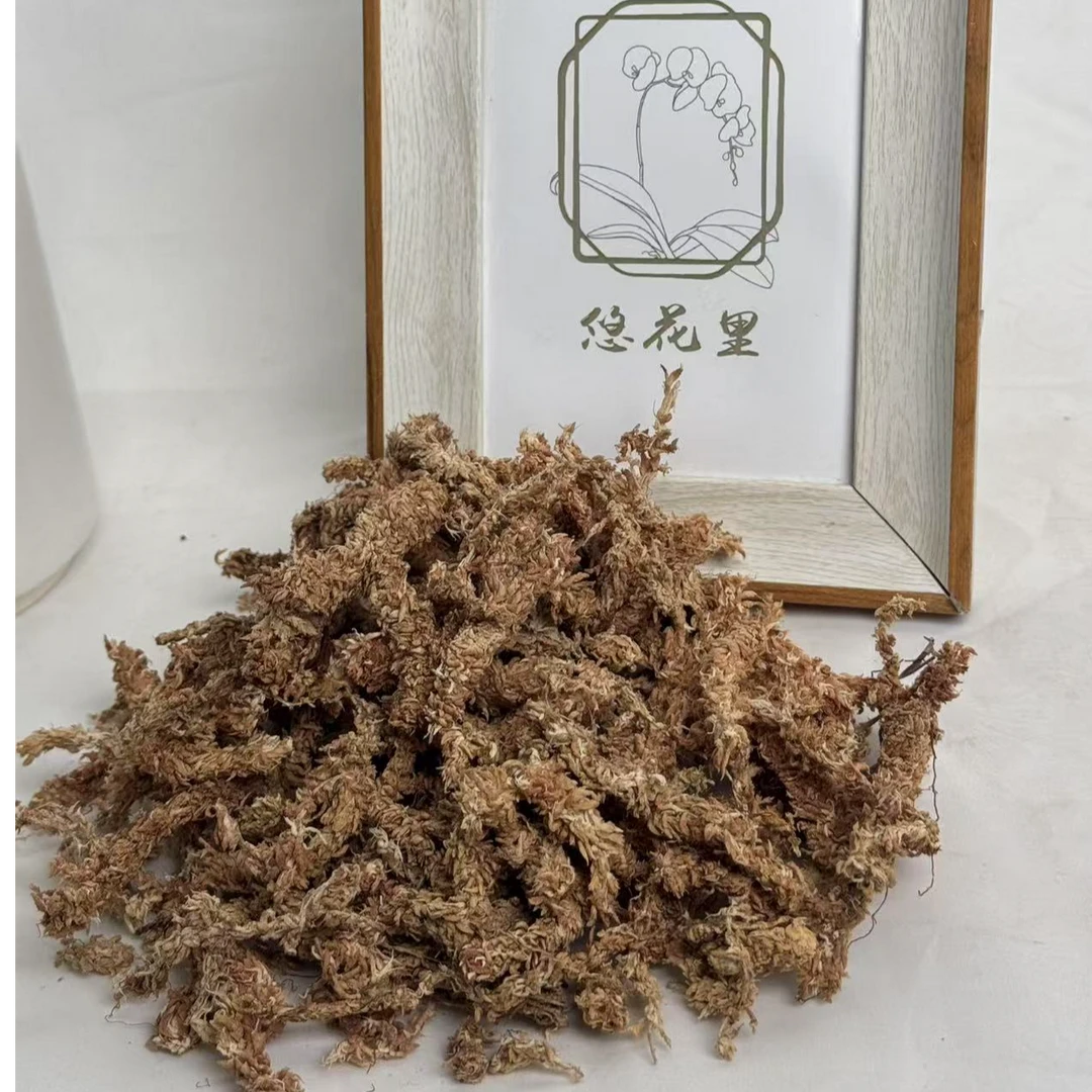 进口毛毛虫水草 2升装 粉丝专享