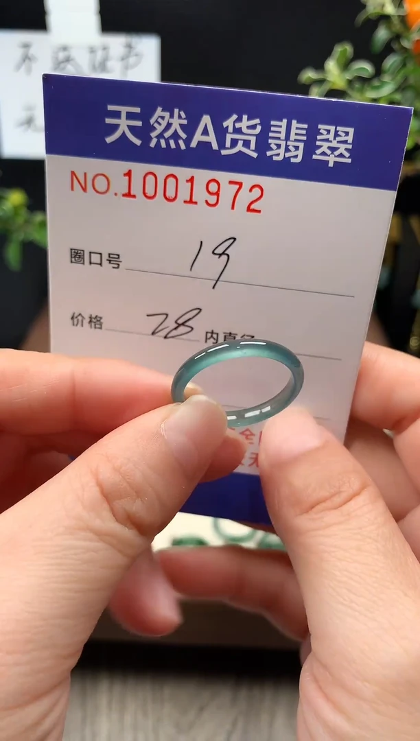 未镶嵌戒指翡翠19#