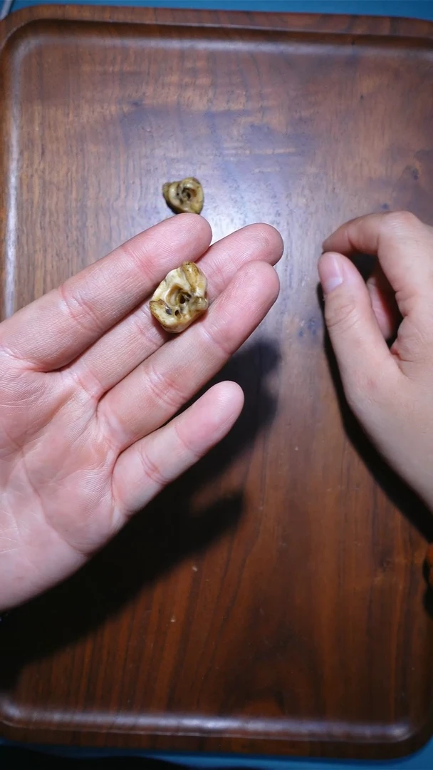 其他驼骨驼骨耳骨谛听单颗多样性发一