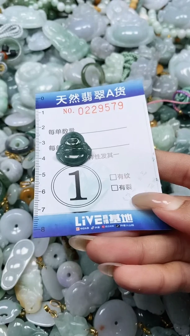翡翠未镶嵌颈饰闪购0229579