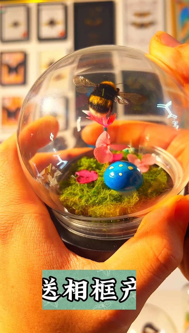 有机玻璃超级可爱的熊蜂王