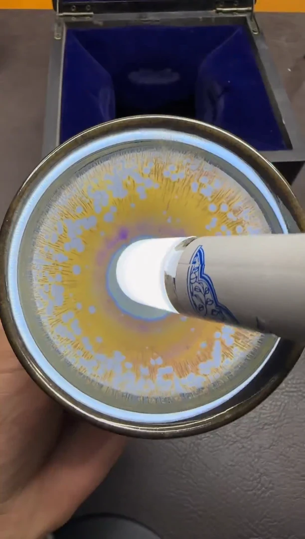 茶盏258号邱晨翔