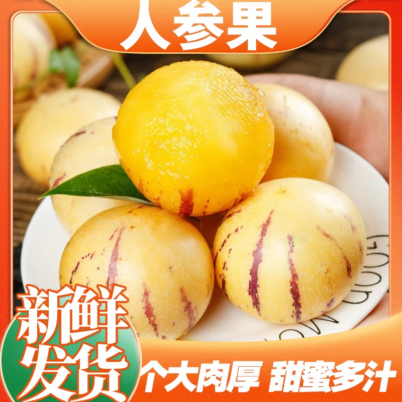 云南石林果黄肉圆果树上熟新鲜多汁当季清甜水果人参果产地直发