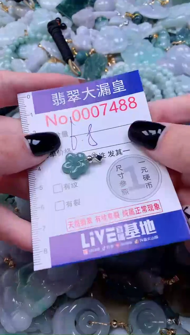 颈饰未镶嵌翡翠7488