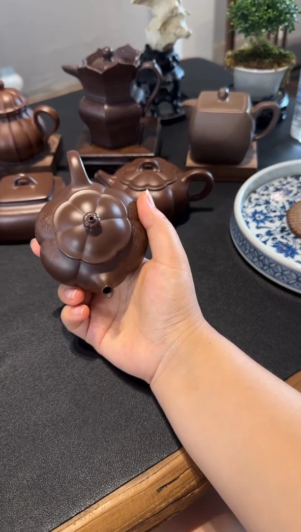 茶壶紫砂水****景大鱼海棠