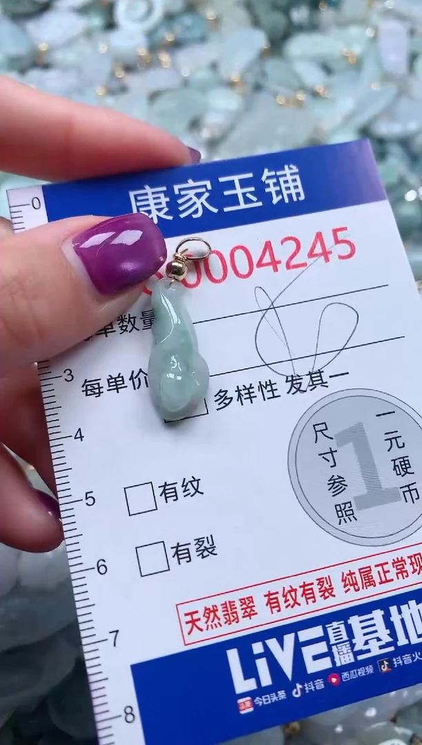 颈饰未镶嵌翡翠4245